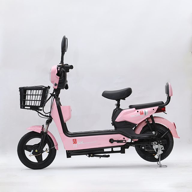 High-end Golden Eagle