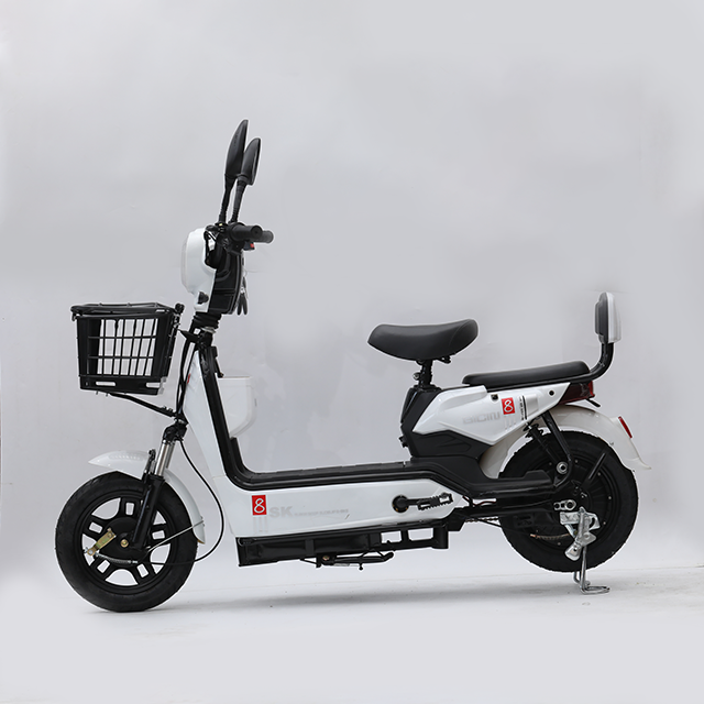 High-end Golden Eagle