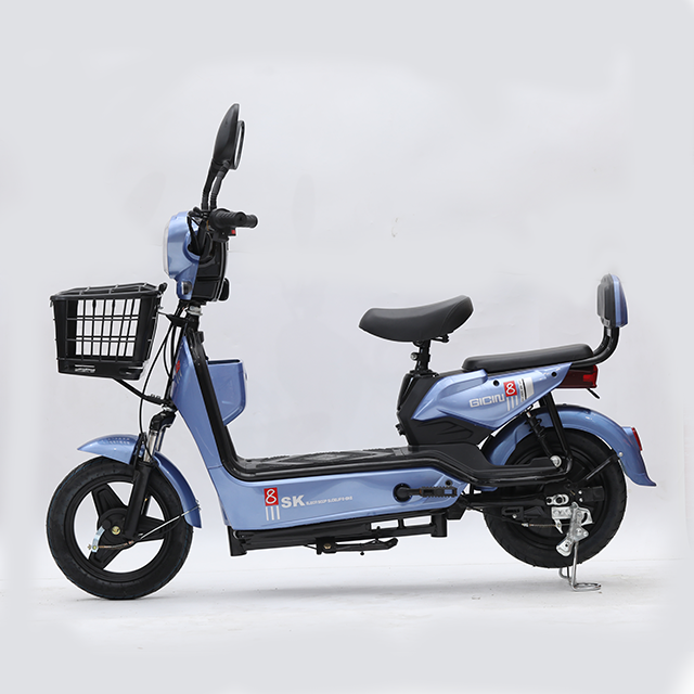 High-end Golden Eagle