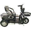 Leisure Tricycle
